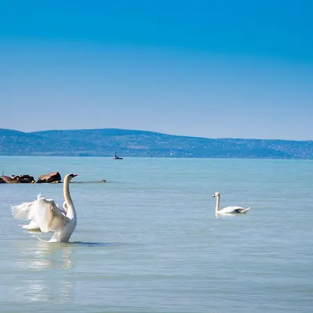 Apartman Riva シオーフォク